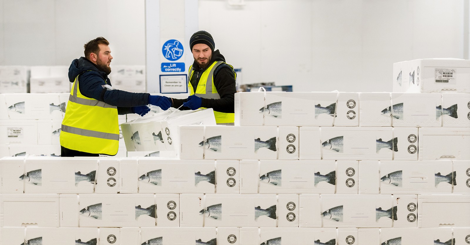 Kuehne+Nagel expands its perishables network with the acquisition of Salmosped in Norway. Image: K+N